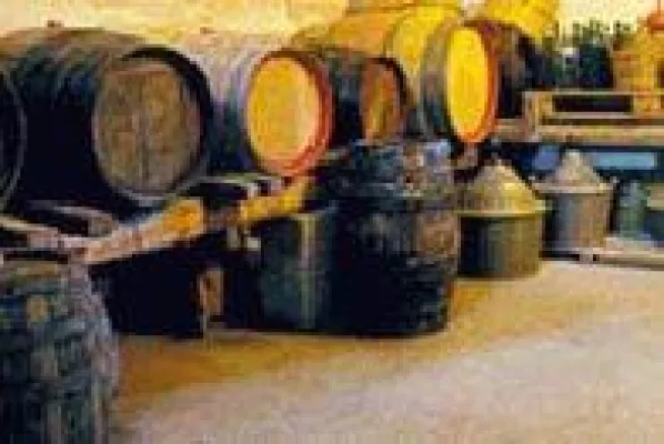 Kommen Sie zur Weinlese nach Sardinien Bild: Kommen Sie zur Weinlese nach Sardinien