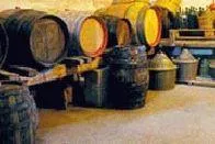 Bild: Kommen Sie zur Weinlese nach Sardinien
