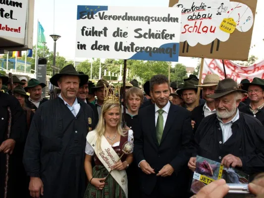 Bild: Schafzuchtverbände fordern Verzicht auf elektronische Einzeltierkennzeichnung