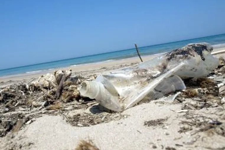 Antrag für ZIM-Kooperationsnetzwerk „BioPlastik“ erfolgreich Bild: Antrag für ZIM-Kooperationsnetzwerk „BioPlastik“ erfolgreich