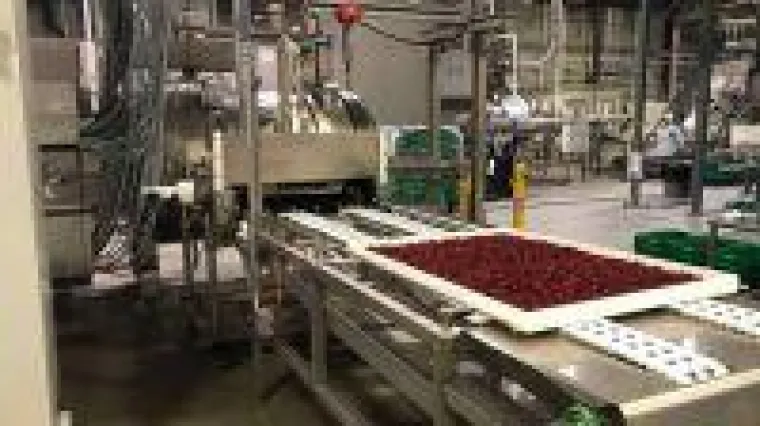 Bild: Die weltweite Ernährung sichern