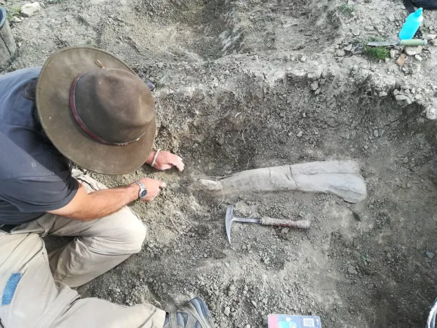 Bild: Die europäischen Wurzeln der afrikanischen Riesen-Raubsaurier