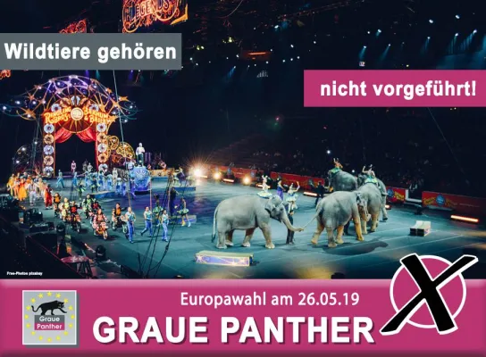 Bild: Wildtiere gehören nicht vorgeführt!