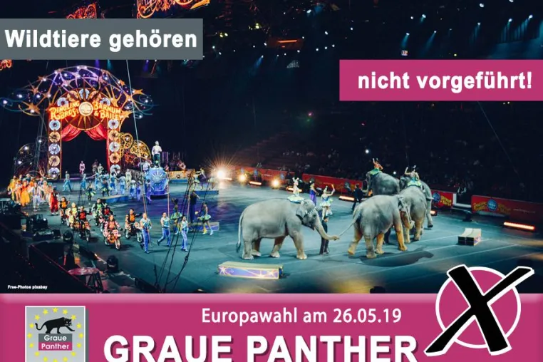 Bild: Wildtiere gehören nicht vorgeführt!