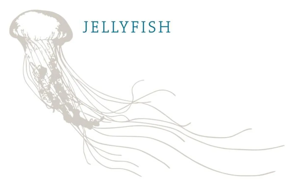 Restaurant Jellyfish