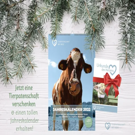 Bild: Das nachhaltigste Weihnachtsgeschenk für alle, die Tiere lieben: "Tierpatenschaft mit Herz" verschenken 
