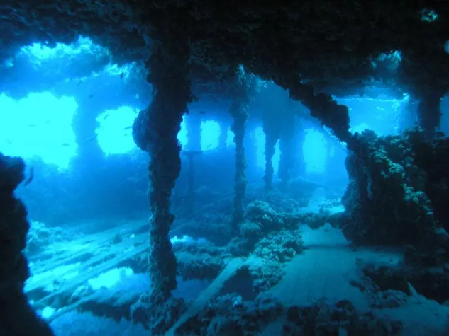 Wracktauchen in Istrien: Vor 100 Jahren sank die Baron Gautsch Bild: Wracktauchen in Istrien: Vor 100 Jahren sank die Baron Gautsch