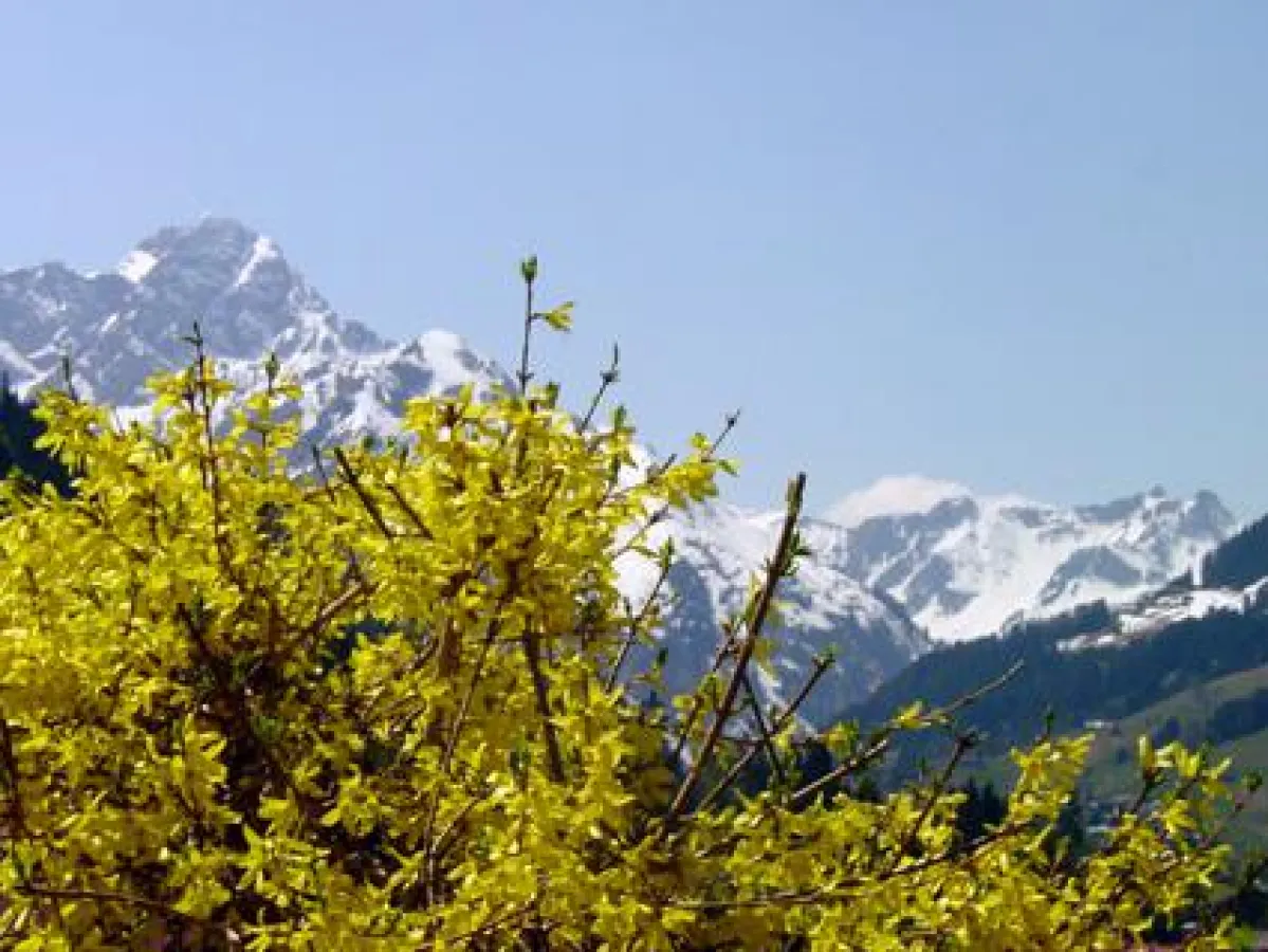 Nach der erfolgreichen Wintersaison hält der Frühling  Einzug im Kleinwalsertal