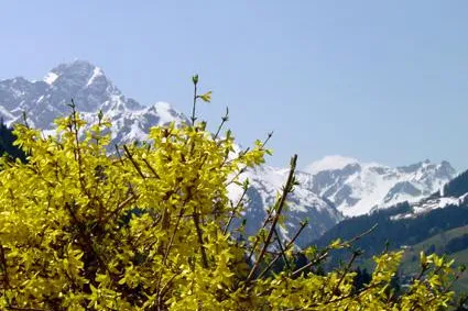 Bild: Rekordergebnis im Kleinwalsertal