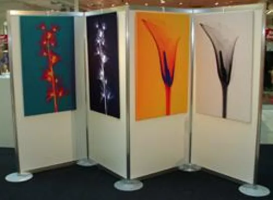 Bild: Versteigerung zu Gunsten der Kinder und Jugendlichen im Evangelischen Johannesstift