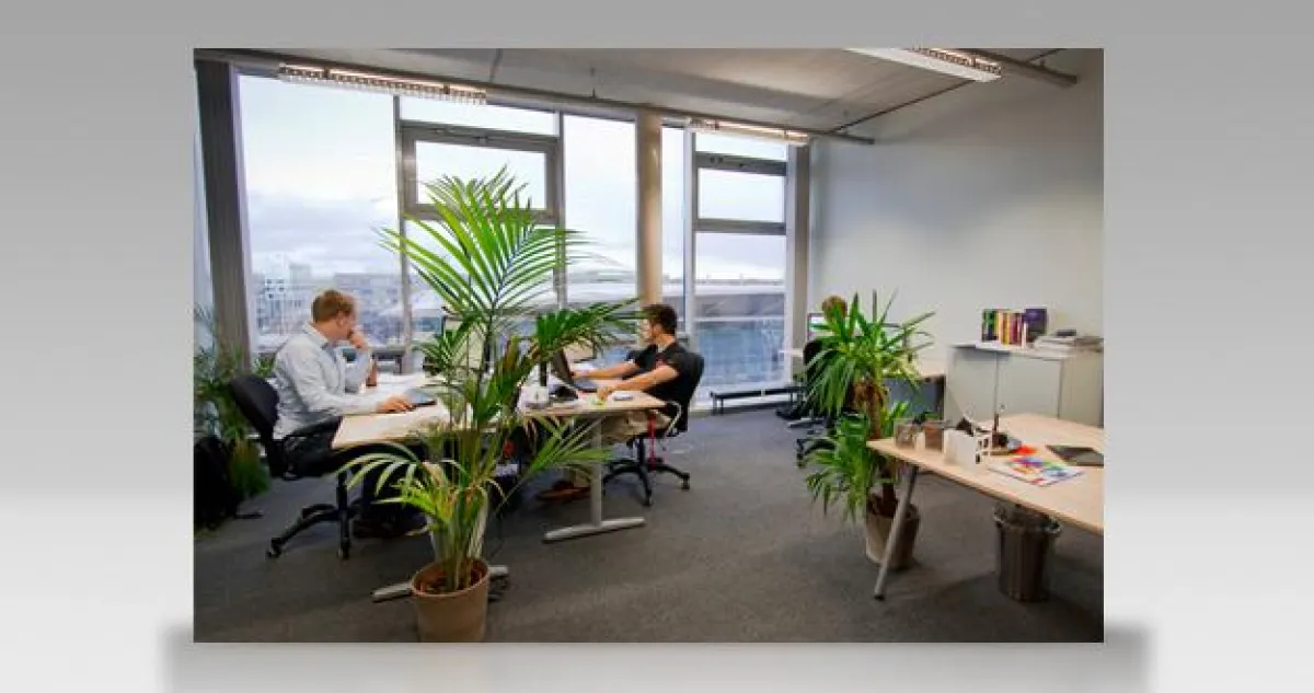 Das MSCG Team Hannover