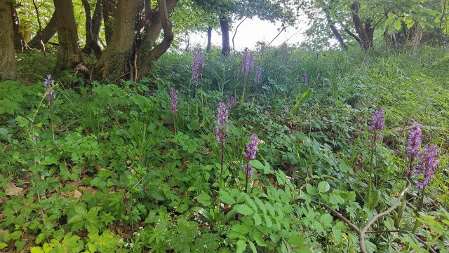 Bild: Europas Naturschutzgebiete neu denken