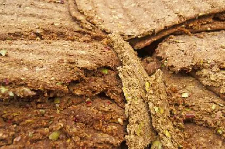 Bild: News von SKD Frankfurt: Wärme aus dem Weinberg