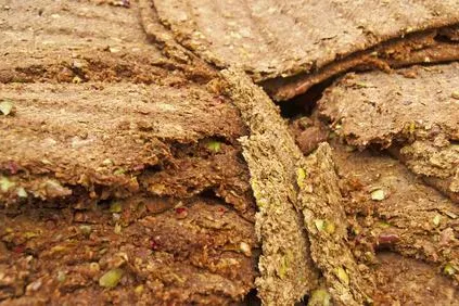 Bild: News von SKD Frankfurt: Wärme aus dem Weinberg