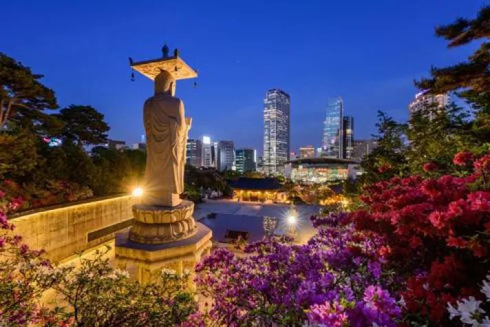 Bild: Ein etwas anderer Städtetrip durch den Fernen Osten: Drei auf einen Streich