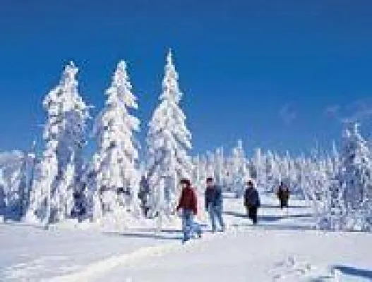 Bild: In der Gemeinde Breitenberg ist für viele Skisportler und Zuschauer etwas geboten