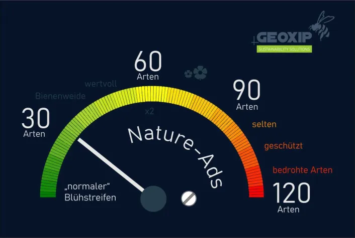 Bild: Investment-Chance Startup GEOXIP #vielebienen: Aktionär werden und Artenvielfalt zurückbringen