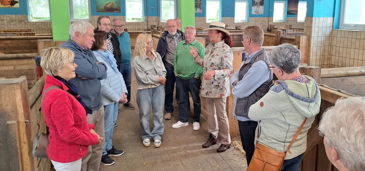 Klassentreffen 2025 führt in den Pferdestall der Ballermann Ranch (© Gut Aiderbichl Ballermann Ranch)