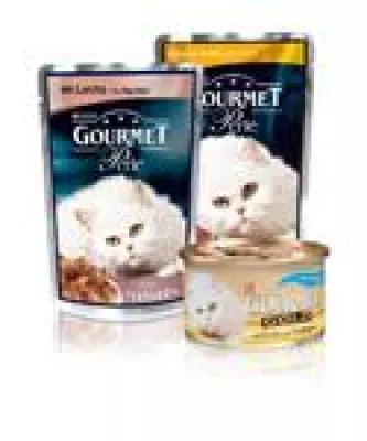 Bild: Die Katze: Feinschmecker und Genießer