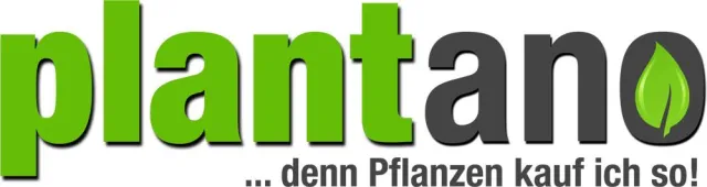 Bild: Zimmerpflanzen online kaufen