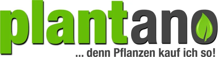 Bild: Zimmerpflanzen online kaufen