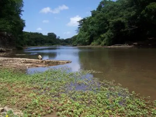Bild: Naturefund Waldfonds kauft Wald in Nicaragua