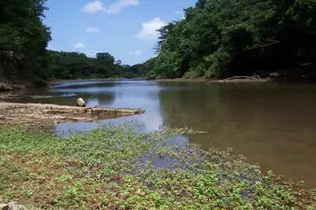 Naturefund Waldfonds kauft Wald in Nicaragua Bild: Naturefund Waldfonds kauft Wald in Nicaragua
