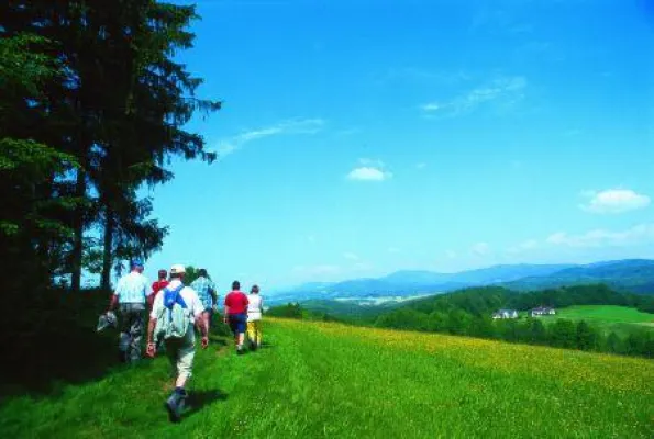 Gemeinde Wegscheid hat nach Holiday-Check-Meinungsumfrage in Bayern die Nase vorn Bild: Gemeinde Wegscheid hat nach Holiday-Check-Meinungsumfrage in Bayern die Nase vorn