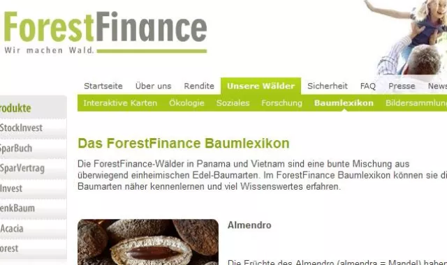 Bild: Tag des Baumes: Baumlexikon informiert über tropische Baumarten