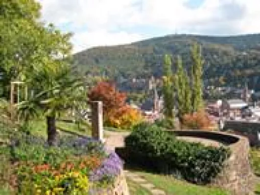 Bild: Frühjahrsputz für die Seele - Naturcoaching mit „Natürlich Heidelberg“ macht’s möglich