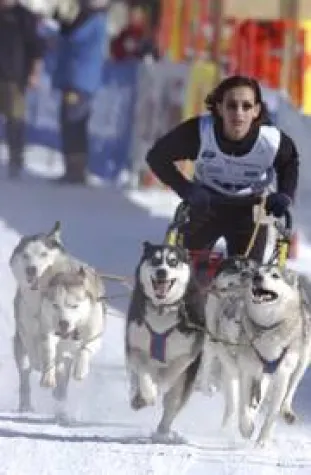 ClimatePartner ermöglicht klimaneutrale Schlittenhunde-WM Bild: ClimatePartner ermöglicht klimaneutrale Schlittenhunde-WM