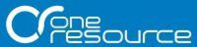 Bild: Greifbare Lösungsvorschläge von Beratern mit spezifischem Fachwissen: Business Consulting  von oneresource ag