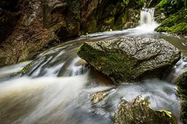 Bild: Schwarzwald-Baar-Kreis entdecken: die 10 schönsten Orte zum Entspannen und Erholen