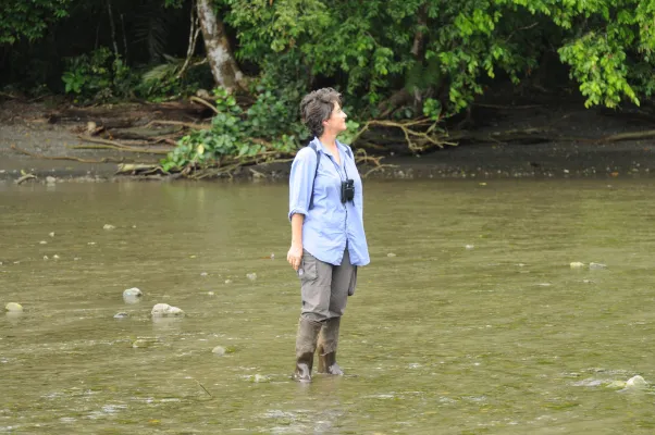 Bild: Ein Tropen-Trail für „Bat Woman“ - STRI ehrt die verstorbene Ulmer Fledermausforscherin Elisabeth Kalko 