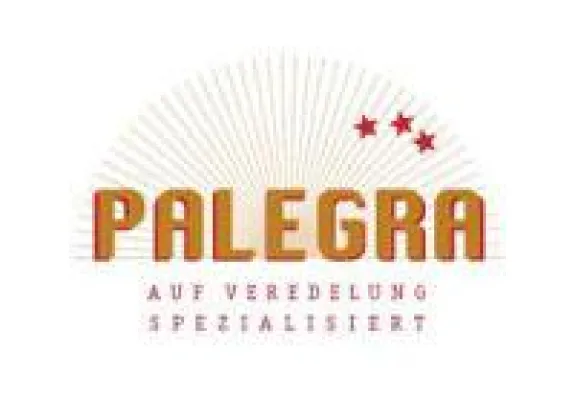 Bild: Druckveredelung Papier – Professionelle Unternehmenspräsentation mit hochwertigen Visitenkarten und Broschüren