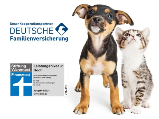 Bild: Mit Herz und Verstand: Wie Tierheimat Tierliebe neu definiert