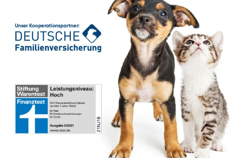 Mit Herz und Verstand: Wie Tierheimat Tierliebe neu definiert Bild: Mit Herz und Verstand: Wie Tierheimat Tierliebe neu definiert