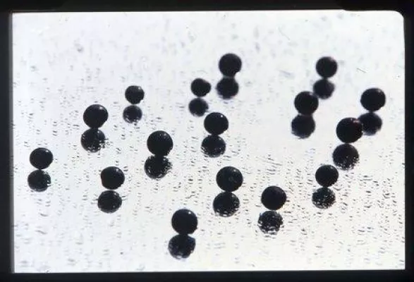 Bild: Message in a (bottle) foto