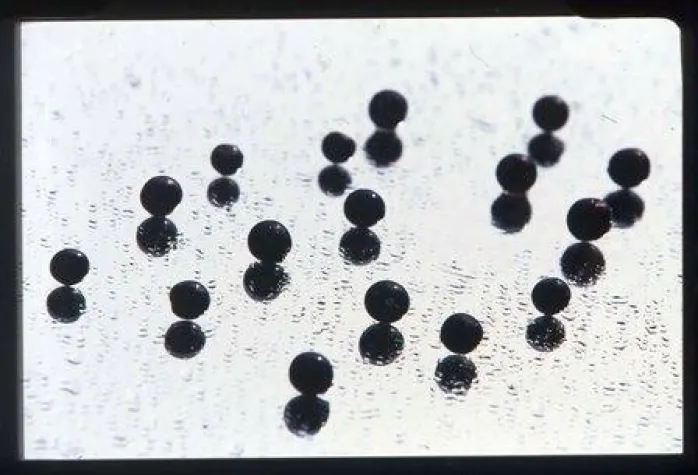 Bild: Message in a (bottle) foto