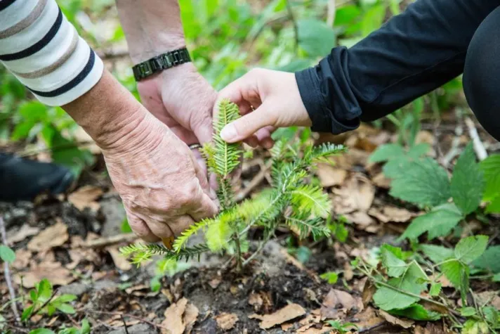 Bild: Zeichen setzen