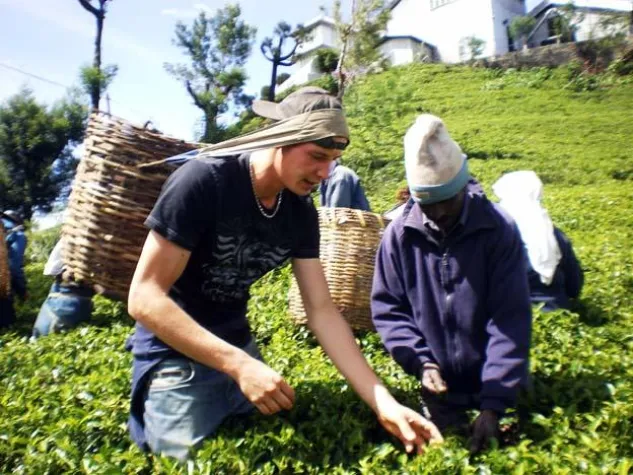 Bild: Upstalsboom Strandhotel Gerken - Neuer Tea-Master auf Wangerooge