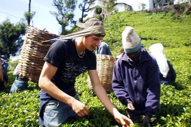 Bild: Upstalsboom Strandhotel Gerken - Neuer Tea-Master auf Wangerooge
