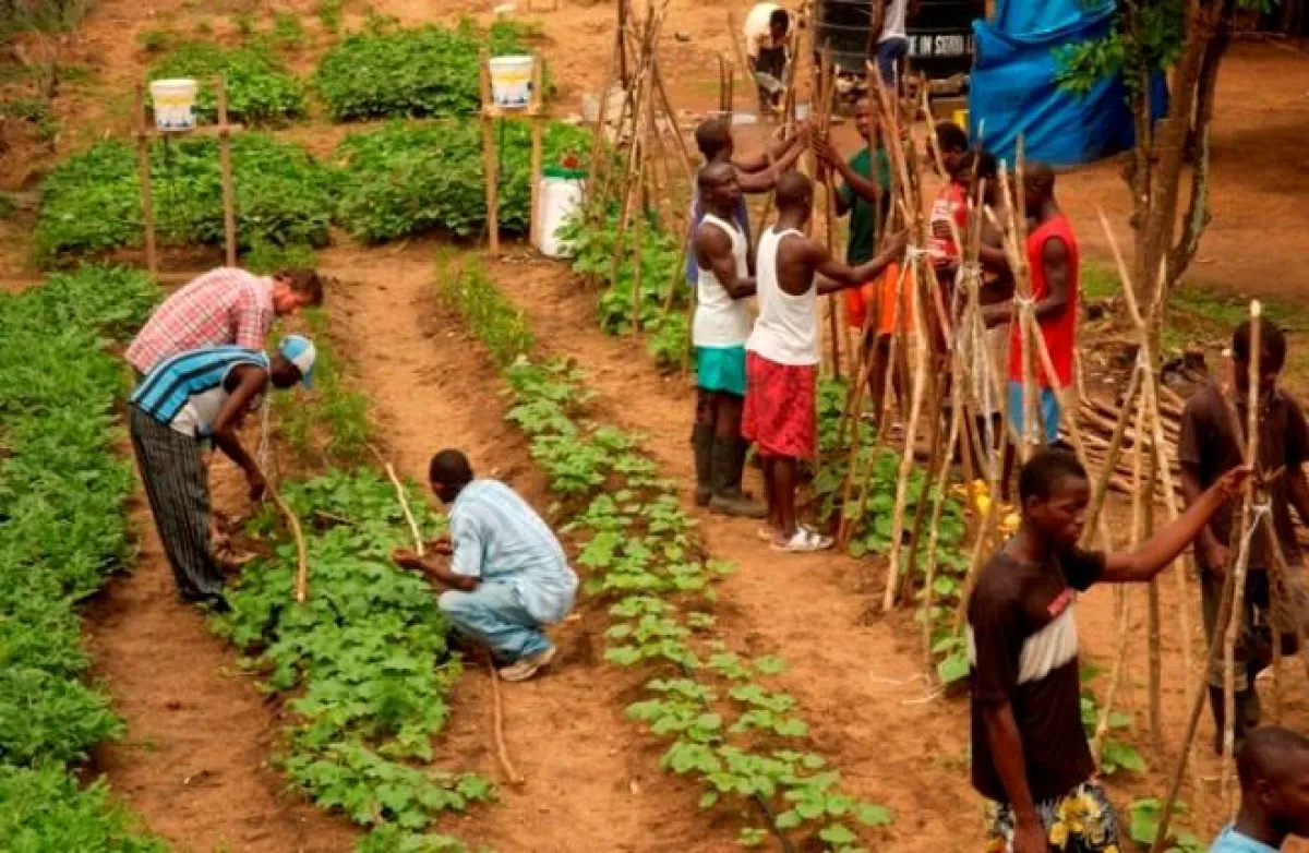 Die Häftlinge arbeiten in ihrem Gefängnisgarten in Monrovia