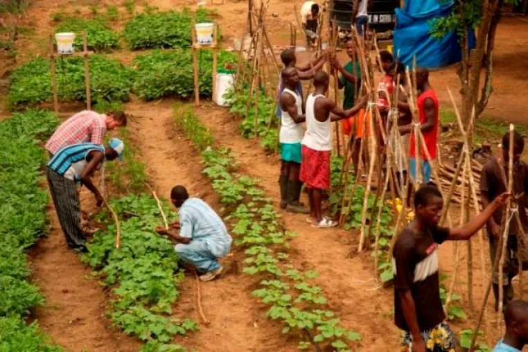 Bild: Liberias Gefangene lernen über Gott und Garten