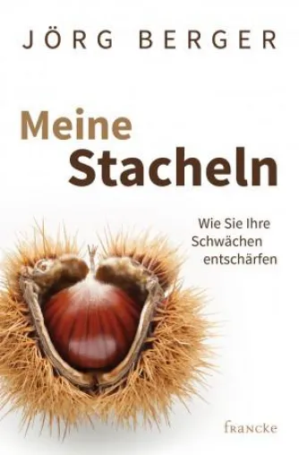 Bild: Die eigenen Schwächen entschärfen