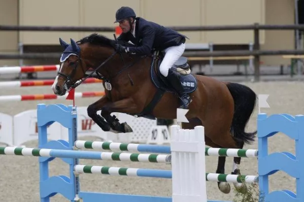 Es wird spannend, denn die Karten für den ÄDV Grand Prix der Stadt Linz sind neu gemischt Bild: Es wird spannend, denn die Karten für den ÄDV Grand Prix der Stadt Linz sind neu gemischt