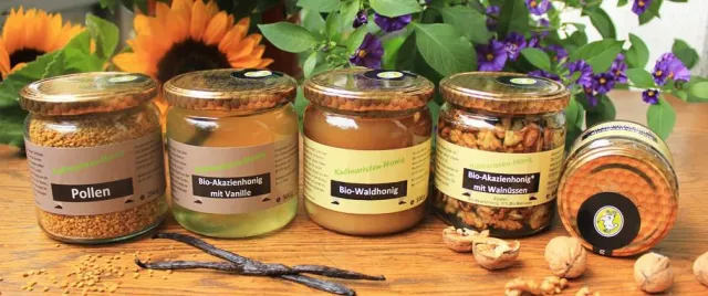 Bild: Wettbewerb für „kleine Naturforscher“ der NAJU - Bienen: die ersten Frühlingsboten