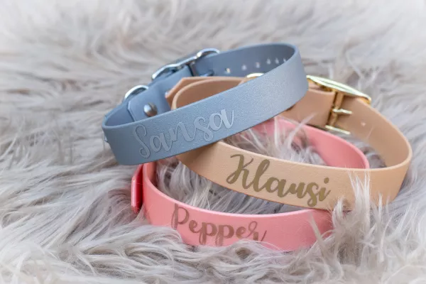 Bild: Die Geschenkidee für alle Hundefreunde zum Fest. Individuelle zart schimmernde Hundehalsbänder von beautytau