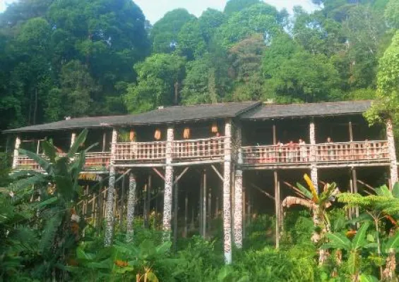 Bild: Sarawak – Das Land der Nashornvögel