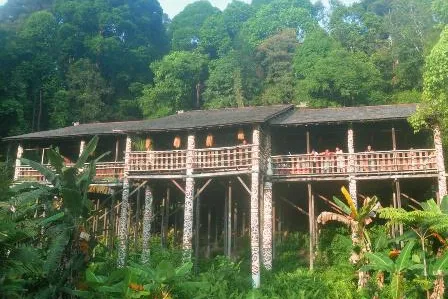 Bild: Sarawak – Das Land der Nashornvögel